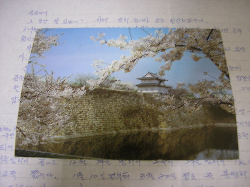 일본에서 선생님이 보내신 엽서2. 봄 배경입니다.