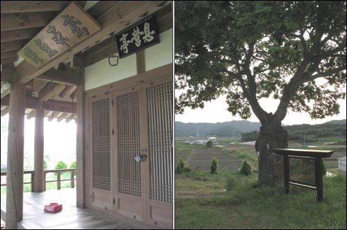 무안 식영정은 정면 3칸, 측면 3칸의 단층 구조로 팔작지붕에다 삼면이 마루로 둘러싸여 있다(왼쪽). 오른쪽 사진은 고목이 된 팽나무와 식영정 안내판이 조화를 이루고 있는 모습이다.
