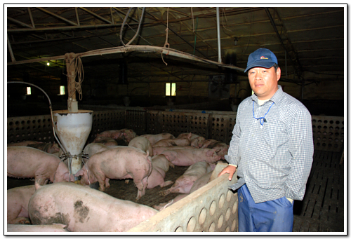서씨는 사진찍기를 거부했지만 결국 자신의 농장 돼지들 앞에서 포즈를 취해 주었다.
