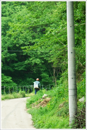  비료 한포 짊어지고 밭으로 가는 안준호 노인