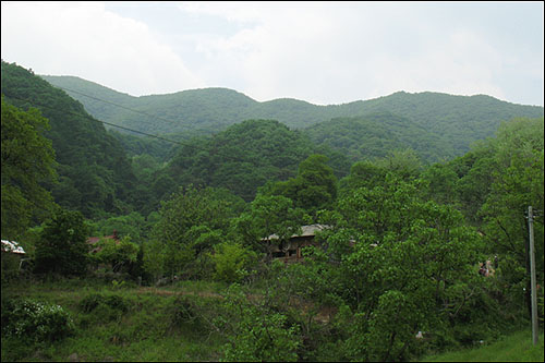 충남 천안 광덕산(699m). 도시 근교에 있는 산치고는 비교적 생태계가 잘 보존돼 있다는 평가를 받고 있다. 