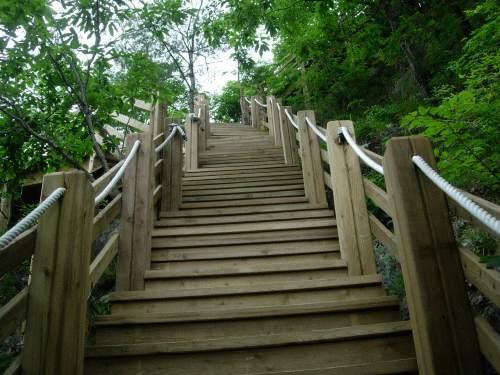 현수교로 올라가는 목재 계단