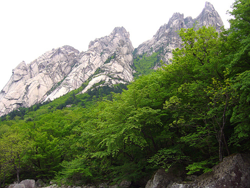 집선연봉 세존봉정상에서 1시간정도를 하산하다보면 좌측으로 집선연봉이 보인다.