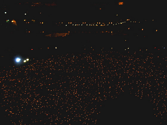 29일, 시청앞 광장을 가득 메운 촛불문화제 광경