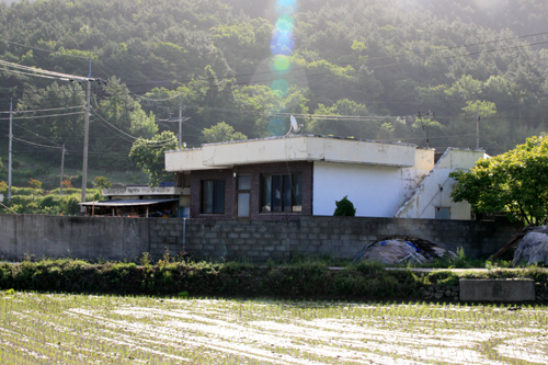 숙부님이신 세째동생(흥부?)집 우리집에 살던 제비가 이사간것으로 추정되는 세째 숙부님댁은 아버님댁에서 100m정도