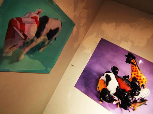 갤러리 내부에 전시되어 있는 연미의 작품들. 소를 비롯하여 동물을 소재로 하였다. 