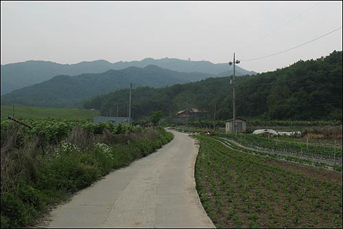 천흥사지 가는 길. 저 멀리 천흥저수지와 성거산( 579m)이 보인다. 