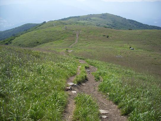 천성산 화엄벌 초원길을 걷다 화엄벌 초원이 드넓게 펼쳐져 있고...