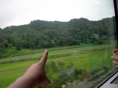 춘양으로 오는 기차 밖의 아름다운 풍경