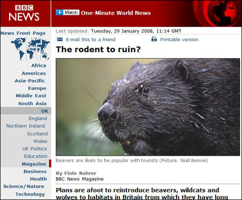 에스토니아의 비버 문제를 사례로 들며 영국의 인위적 자연 복원 계획을 비판한 BBC 기사.