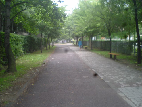 출근길 초반에 있는 자전거 도로이다.