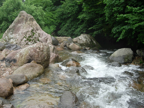 정자 아래 계곡을 시원스럽게 흐르고 있는 물.
