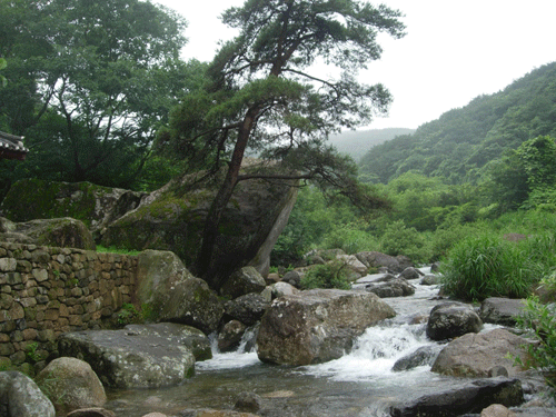 무등산 원효계곡을 시원스럽게 흐르고 있는 하얀 포말들.
