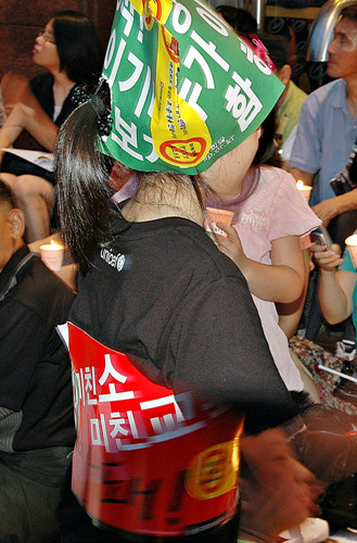 어린 아이가 미친소 반대 글귀가 적힌 종이로 만든 옷과 모자를 쓰고 촛불 문화에 참여하고 있다.