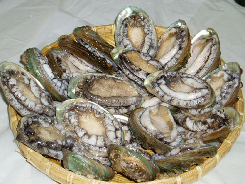 ‘조개류의 황제’로 불리는 전복. 저지방 고단백의 건강식품으로 널리 알려져 있다.