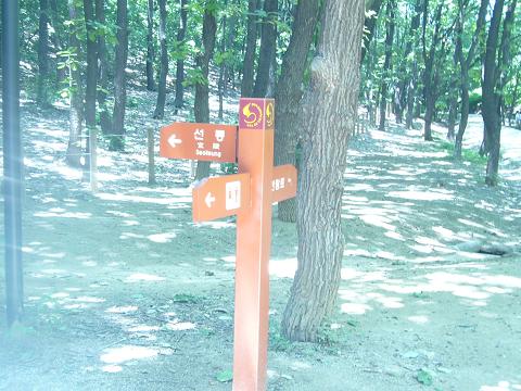 선릉 공원안에 곳곳에 있는 표지판. 갈림길 설명이 친절하게 되어 있다