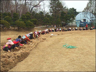 농장주의 싸이월드 홈피에 실린 사진. 이들 중 상당수의 재중동포들이 임금체불 등의 피해를 겪고 있는 것으로 알려졌다.