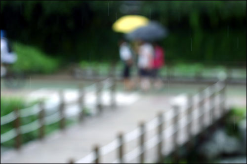 비가 내리는 가운데 우산을 들고 산책하는 사람들