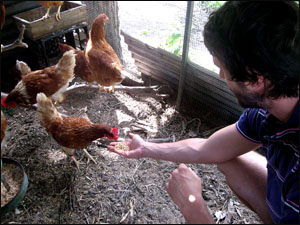 닭들에게 모이를 주고 있는 브렌단.
