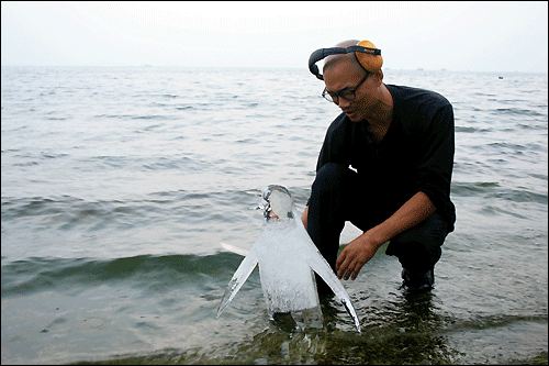 소호바닷가에서 환경운동가인 최병수씨가 얼음 펭귄 퍼포먼스를 펼치고 있다. 