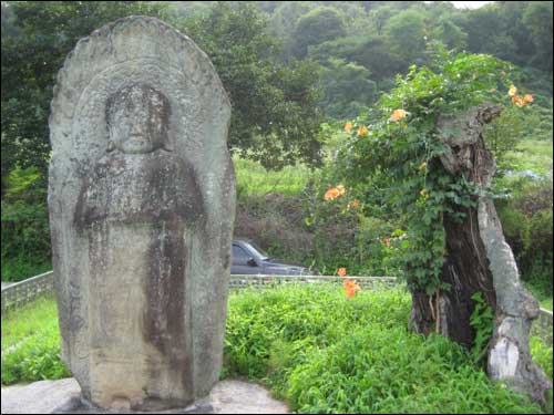 사과나무시험장 불상 사과나무 시험장 안에 있는 고려시대 석불입상 주변 고목과 잘 어울린다.