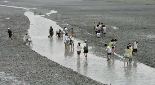  물이 빠져 드러난 갯벌은 '개평선'이라 할 만큼 드넓다. 여기서 조개를 잡고 짱뚱어를 쫒는 등 갯벌체험을 해볼 수 있다.