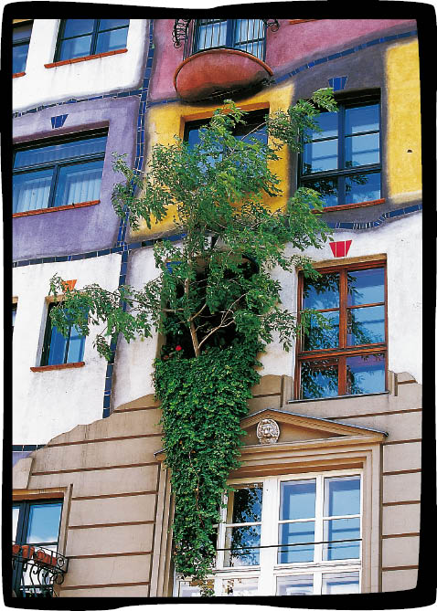 '식물 세입자'가 창문권이 보장된 이웃 사이에 산다.
