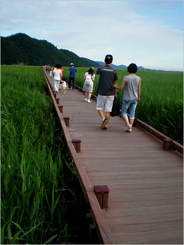 갈대숲을 가로질러 용산전망대 입구까지 이어진다. 