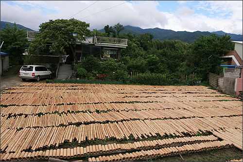 죽호바람(대표 김주용)은 대한민국에서 거의 사라진, 우리 대나무를 삶아 색깔을 내는 부채공장이다.