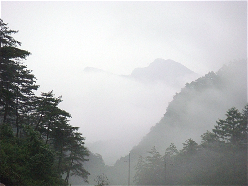 구름에 쌓인 가리왕산. 산삼이 많아 심마니들의 많이 찾는 산이다.