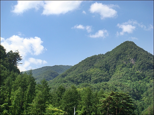 가리왕산에 오르면 조선조 때 세운 '산삼봉표비'가 있다. 산삼이 많다는 역사적 증거이기도 하다.