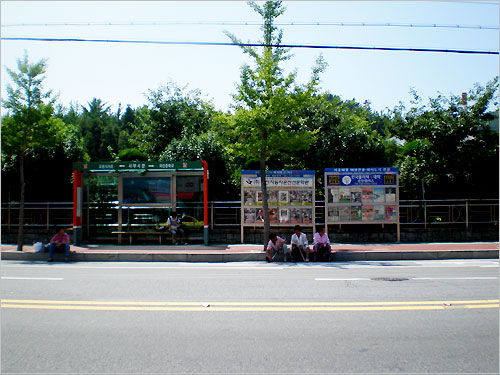 버스를 기다리는 할머니들, 여름날 오후의 도로는 한산하다. 