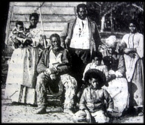 프랑스의 정치학자 토크빌(1805~1859)은 "노예제도의 전통은 특정종족에게 치욕을 안겨준다. 미국에서 노예제도를 폐지하려는 조치가 취해지는 것은 흑인들을 위한 것이 아니고, 백인들을 위한 것이기 때문이다"라고 말했다.