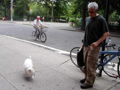 자전거를 탄 채 개를 끌고 온 사람이 자전거를 맨 뒤 다시 개와 함께 걸어가고 있다. 뉴욕대(NYU)에서.