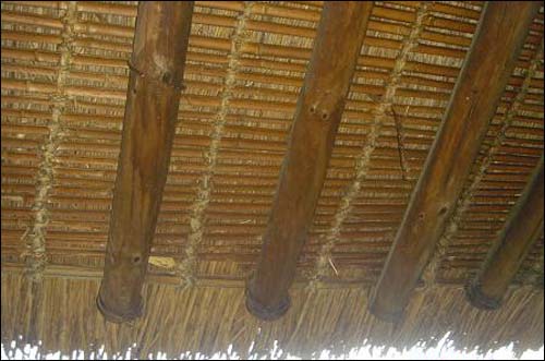 하씨 초가의 건축비법의 또다른 특징은 지붕에 억새를 얹은 것이다. 