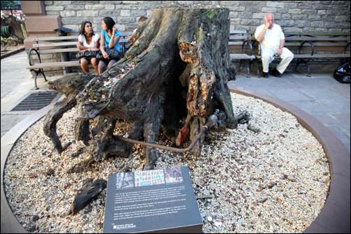 백년된 플라타나스 나무가 북쪽타워에서 날아온 수 톤의 잔해들을 막아 세인트 폴 성당이 무사히 보존됐다. 뿌리 부분에 철근이 박혀 있다. 사건 당시 쓰러져 죽은 그루터기를 기념하기 위해 보존하고 있다. 