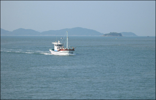 임자도는 새우젓 생산지로 널리 알려져 있다. 임자도를 오가는 길에 새우젓을 실은 배를 흔히 만날 수 있다.