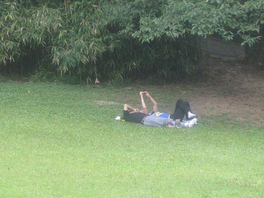 잔디밭에 누워서 사랑을 속삭이는 남녀, 참 보기 좋네요.