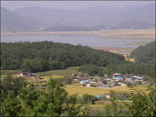 고향마을 전남 순천시 해룡면 농주리 솔터마을. 순천만 갈대밭과 S자 수로를 뒤로 하고있는 약 20호가 되는 고향마을. 내가 어릴적에는 120명정도가 거주했으나 지금은 평균연세가 77세가 넘는 노인들 15명 정도만이 노후를 보내고 계시는 장수마을이다.