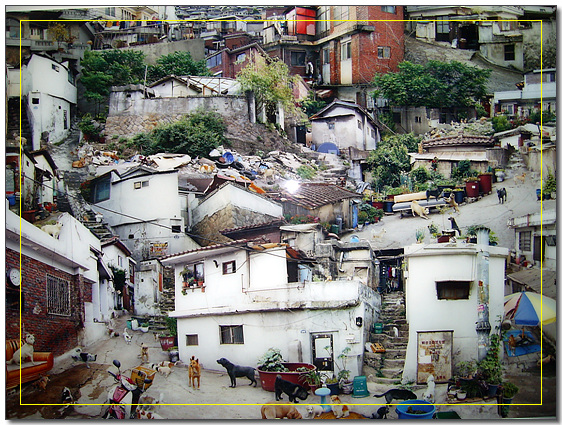 비엔날레의 작품, 빈민촌의 사진들과 개사진들을 합성하여 교묘한 이미지를 만들고 있다.