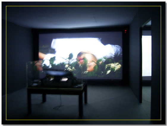 비엔날레의 한 작품, 동적인 영상과 정적인 오브제가 서로 통하는 방들에 설치되어 있다.