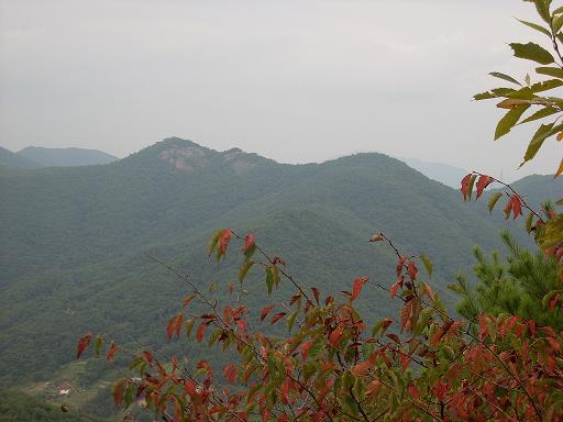 금오산~ 어느덧 단풍이 곱게 들고~