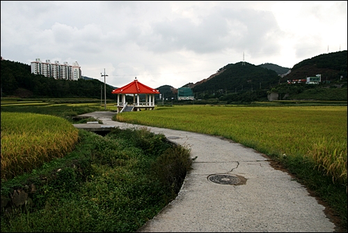 모정 빨간 지붕이 정열적이다. 