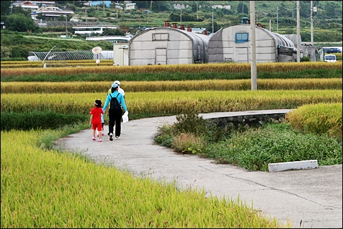 산책 아이 손을 잡고 도란도란 걸어가는 풍경이 행복하게 보인다.