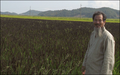 농업인들 사이에서 ‘유기농업의 교과서’로 통하는 강대인 씨가 녹색미가 자라는 벼논에서 환하게 웃고 있다. 