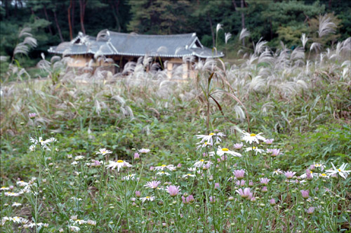 성내에는 가을향기가 널려 퍼져 있다. 뒤로 보이는 작청이라는 건물은 조선시대때 이방과 아전들이 소관 업무를 처리하던 청사이다.