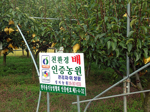 친환경 인증 과수원