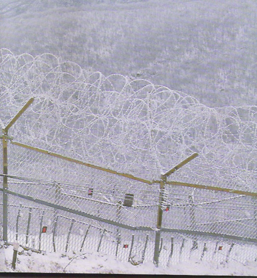 겨울마다 홀연히 등장하는 DMZ 눈꽃세상