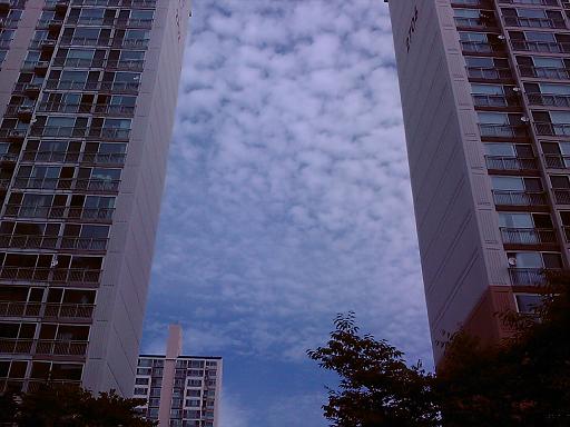 자전거로 출근하면서 본 아파트 숲의 하늘