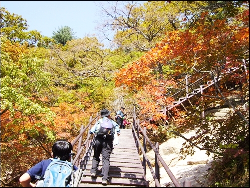  한계령 등산로 초입 오르막 계단길